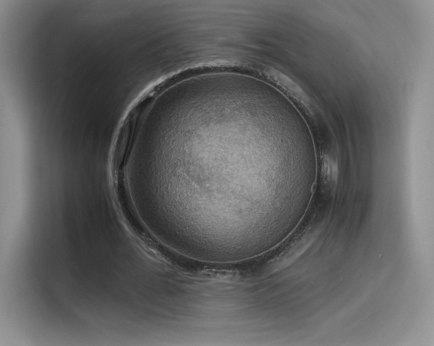 X0000114620676200910201133
