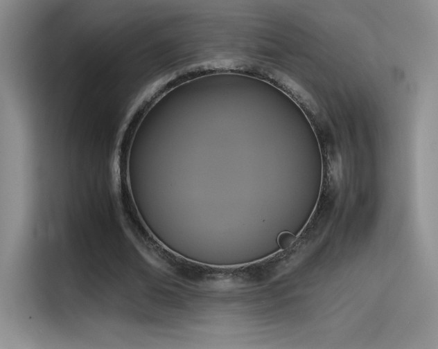 X0000114620678200910201133
