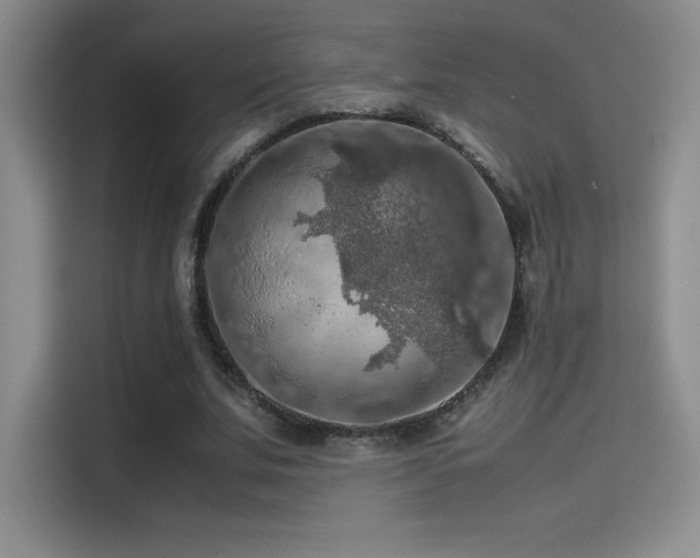 X0000114620679200910201133
