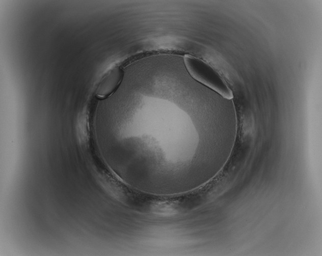 X0000114620680200910201133