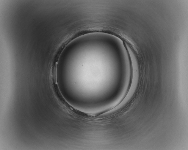 X0000114620681200910201133