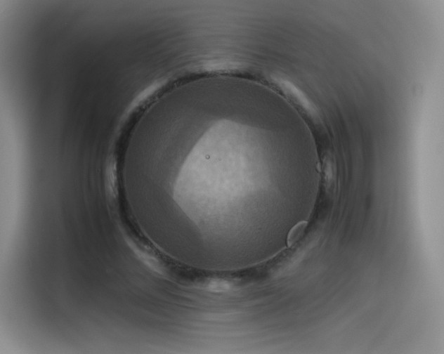 X0000114620684200910201133