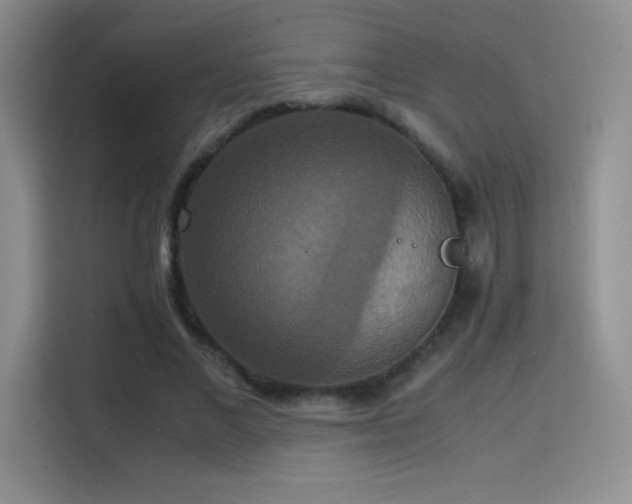 X0000114620685200910201133