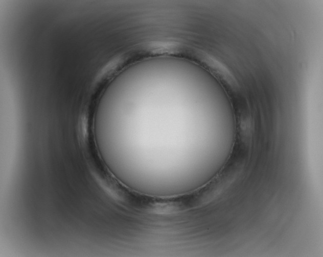 X0000114620686200910201133
