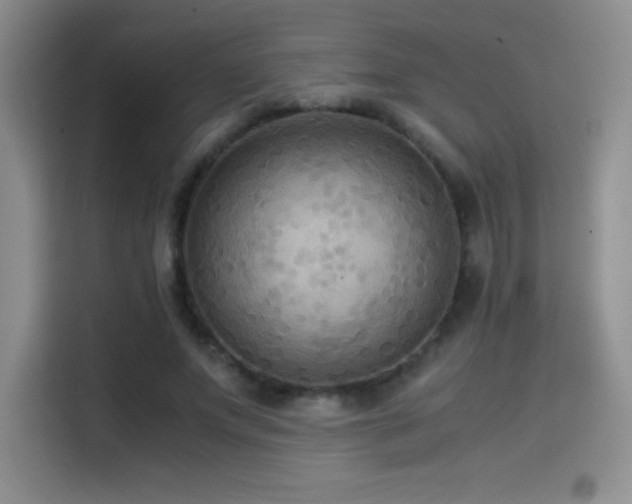 X0000114620687200910201133