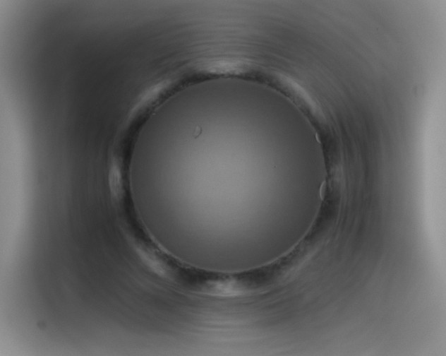 X0000114620688200910201133