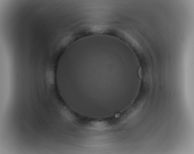 X0000114620689200910201133