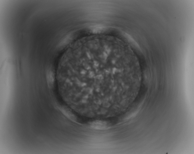 X0000114620691200910201133