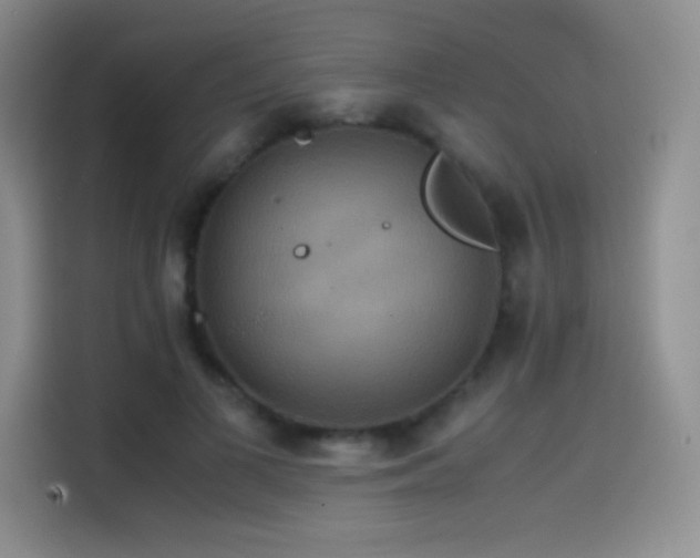 X0000114620693200910201133