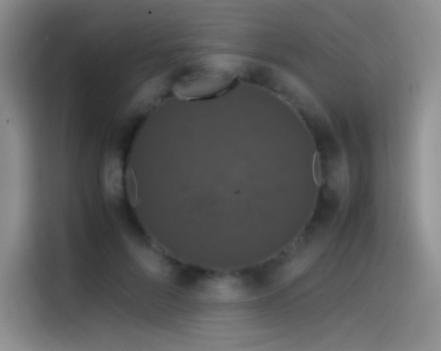 X0000114620696200910201133