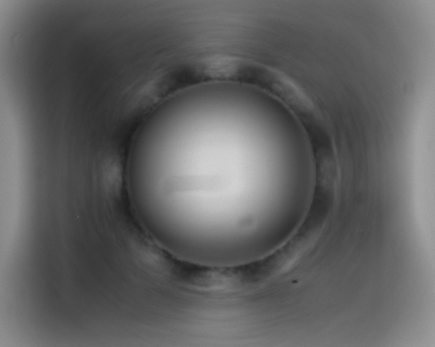 X0000114620697200910201133