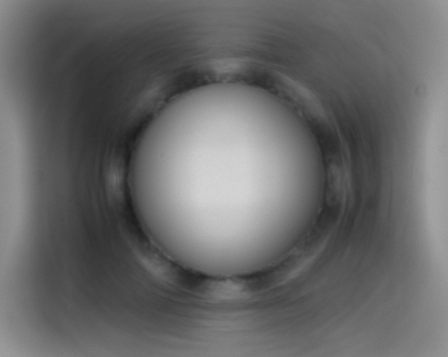 X0000114620698200910201133