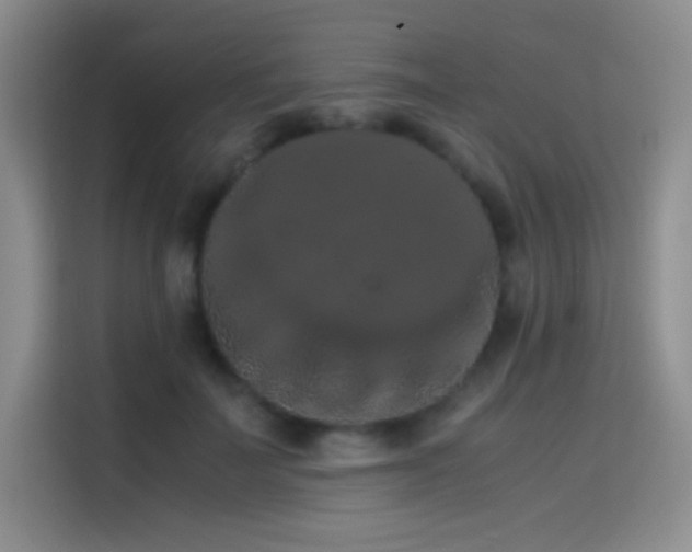 X0000114620699200910201133