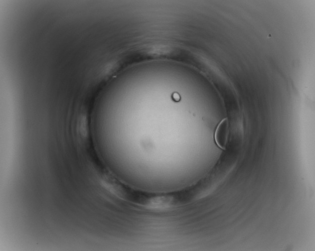X0000114620700200910201133