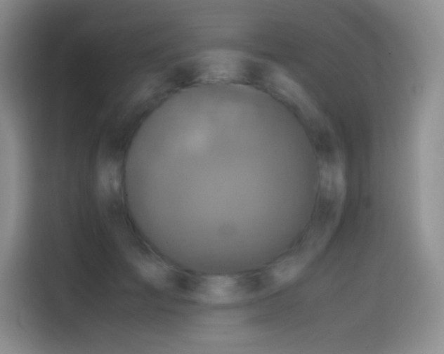 X0000114620701200910201133