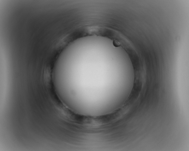 X0000114620702200910201133