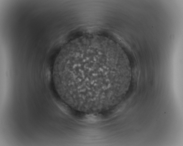 X0000114620703200910201133