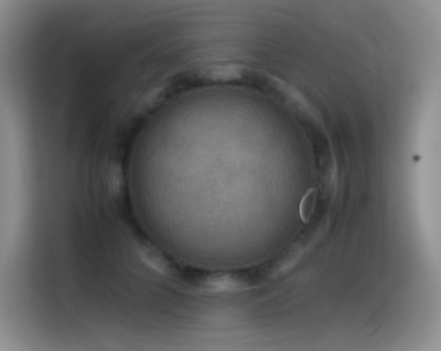 X0000114620704200910201133