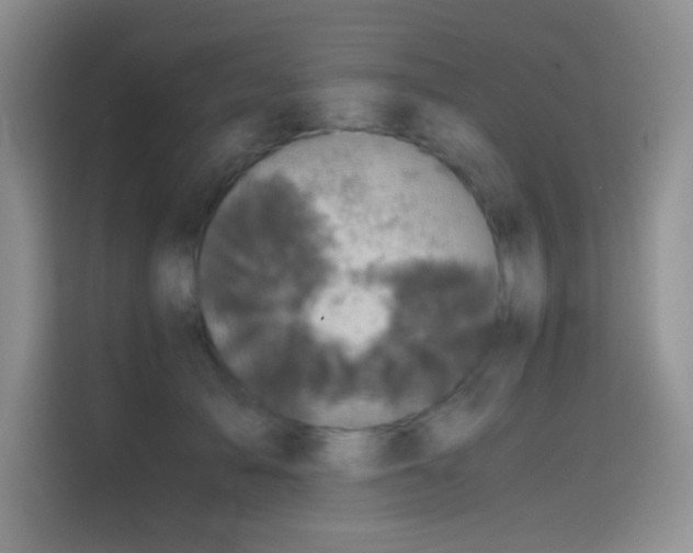 X0000114620705200910201133