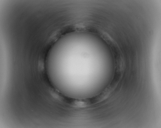 X0000114620706200910201133