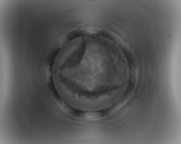 X0000114620707200910201133