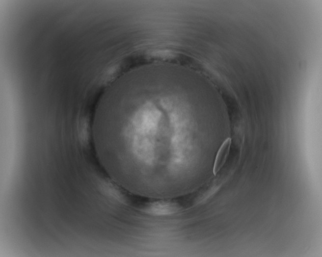 X0000114620708200910201132