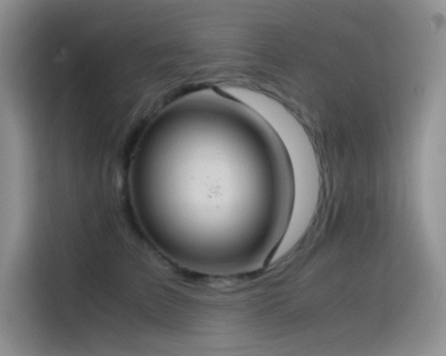X0000114620709200910201132