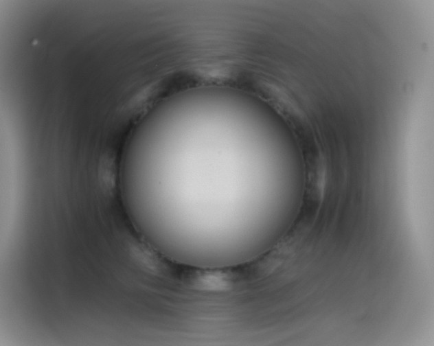 X0000114620710200910201132