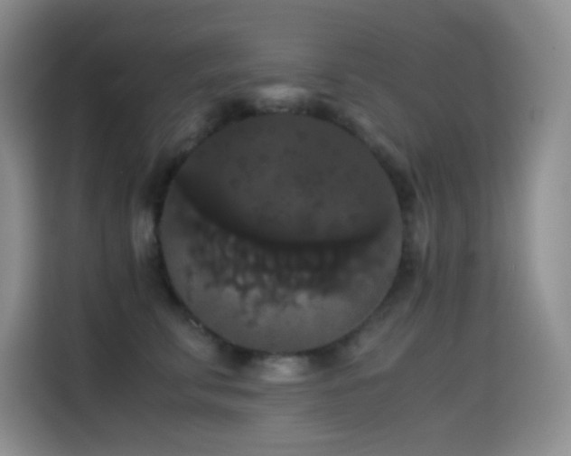 X0000114620711200910201132