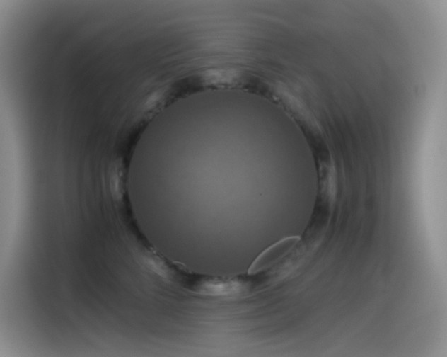 X0000114620712200910201132