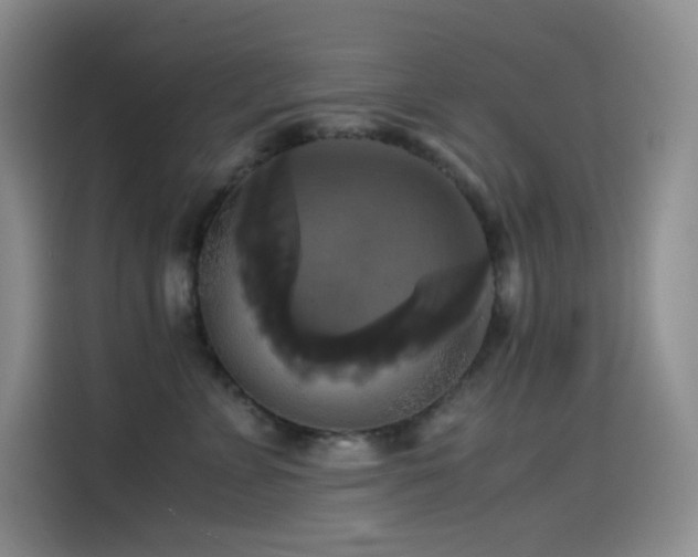 X0000114620715200910201132
