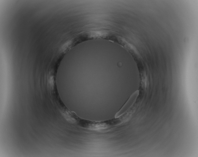 X0000114620716200910201132