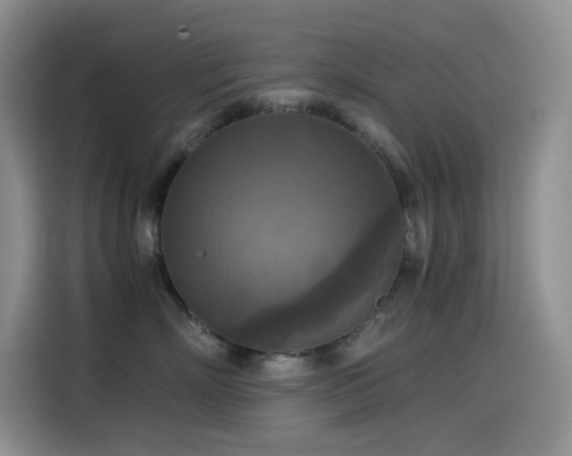 X0000114620718200910201132