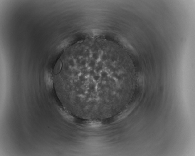 X0000114620719200910201132