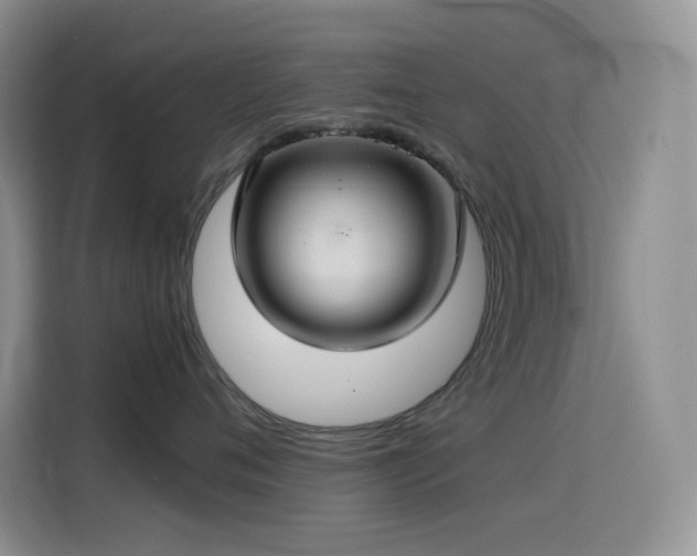 X0000114620720200910201132