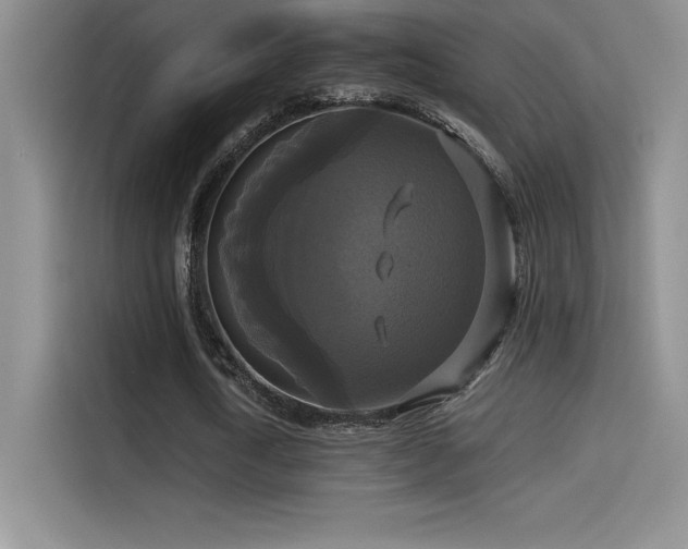 X0000114620722200910201132