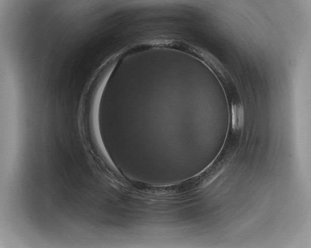 X0000114620723200910201132