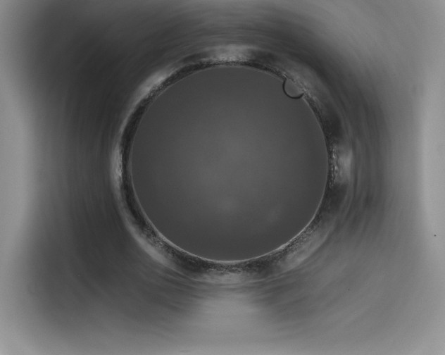 X0000114620726200910201132