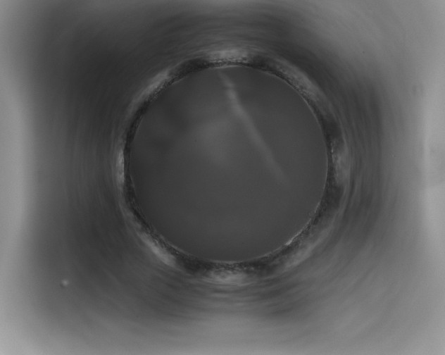 X0000114620729200910201132