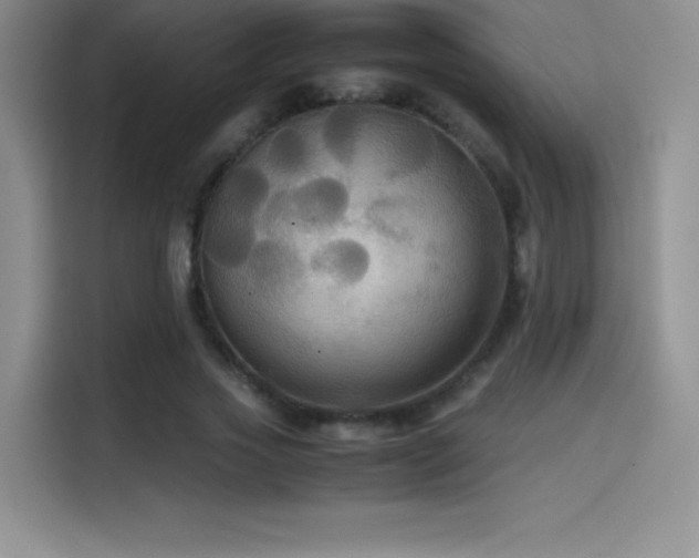 X0000114620733200910201132
