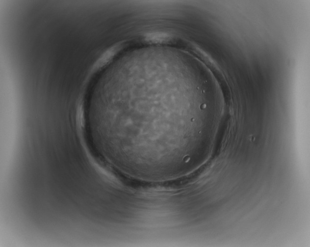 X0000114620734200910201132