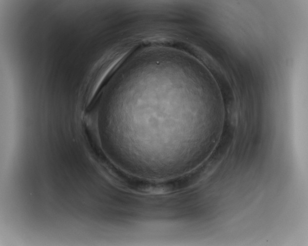 X0000114620735200910201132
