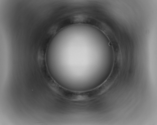 X0000114620737200910201132