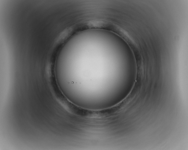 X0000114620738200910201132