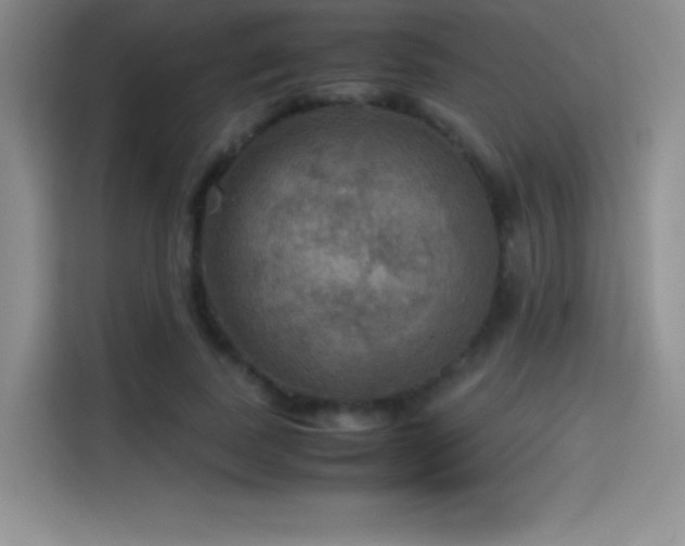 X0000114620739200910201132