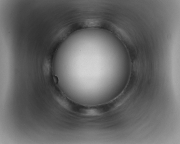 X0000114620741200910201132