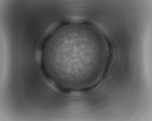X0000114620742200910201132