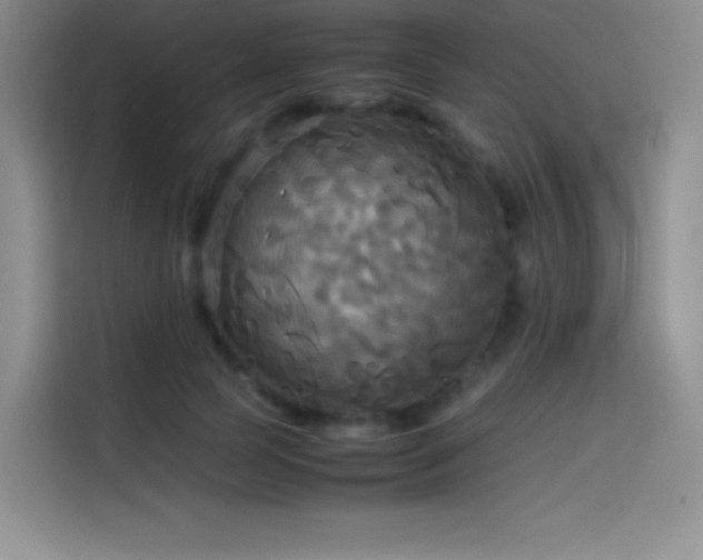 X0000114620745200910201132
