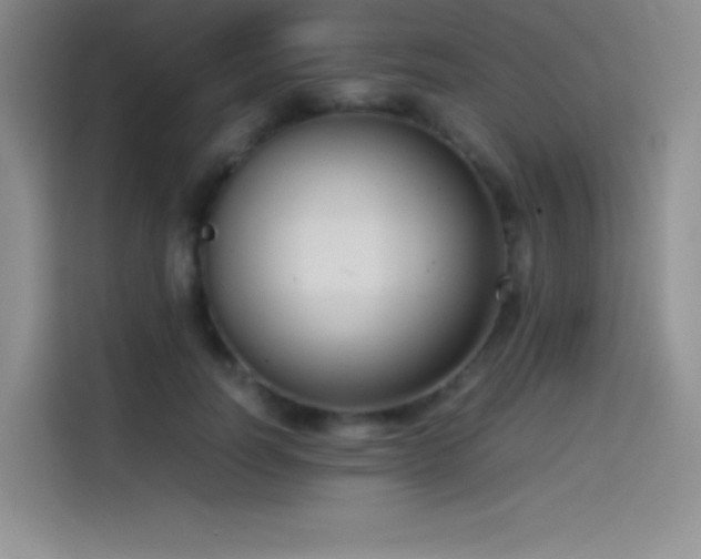 X0000114620746200910201132