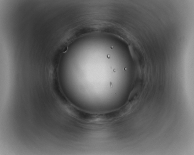 X0000114620750200910201132